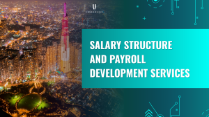 Salary structure and payroll development services - VBE